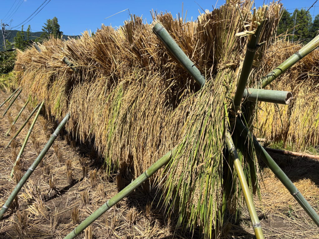 9.6 はざかけがの高さが低かったので、高くし直しました