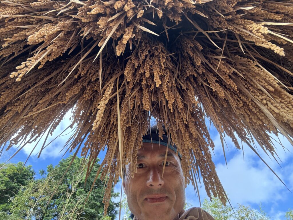 9.20 稲架掛けの間から