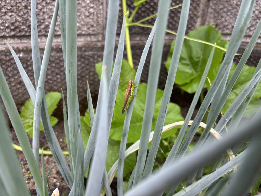 9.21 安心な様子