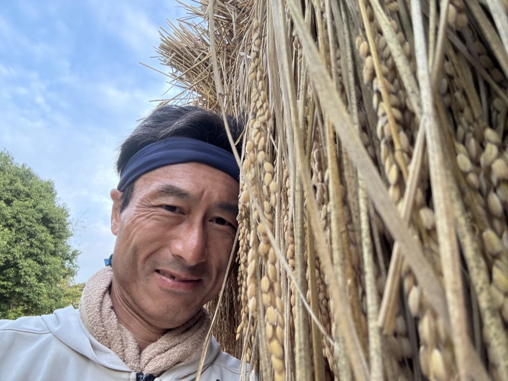 9.23 もうすぐ脱穀します